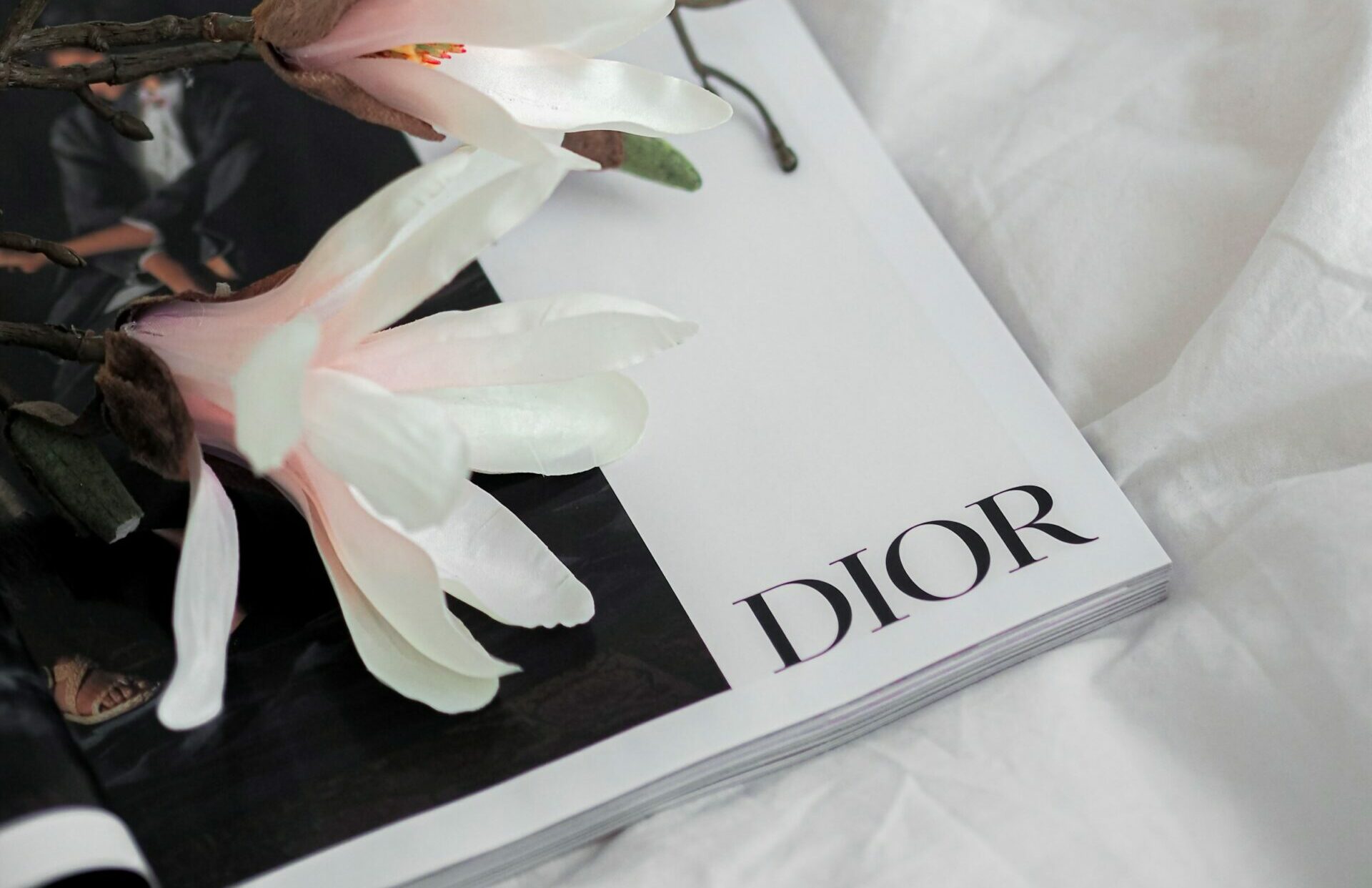 Lunettes à monture dorée posées sur une page blanche, évoquant la lecture du dictionnaire de style de Christian Dior