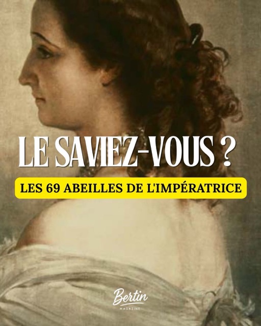 Publication du Magazine Bertin sur Instagram